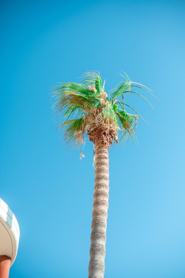 Kos City Apartments מראה חיצוני תמונה